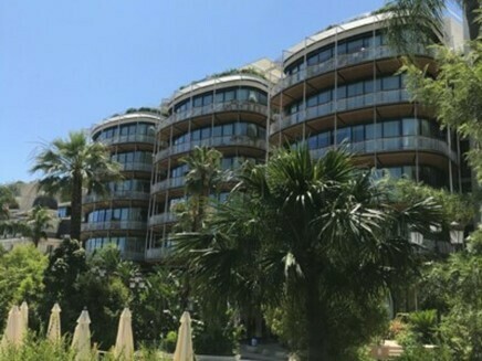 Lussuoso triplex con piscina - Appartamenti da affittare a MonteCarlo