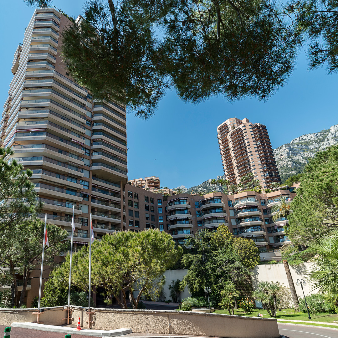 SPACIEUX STUDIO EN LOFT D'ENVIRON 84 M2 JOUISSANT D'UNE VUE VERDURE - A VOIR - Appartamenti da affittare a MonteCarlo