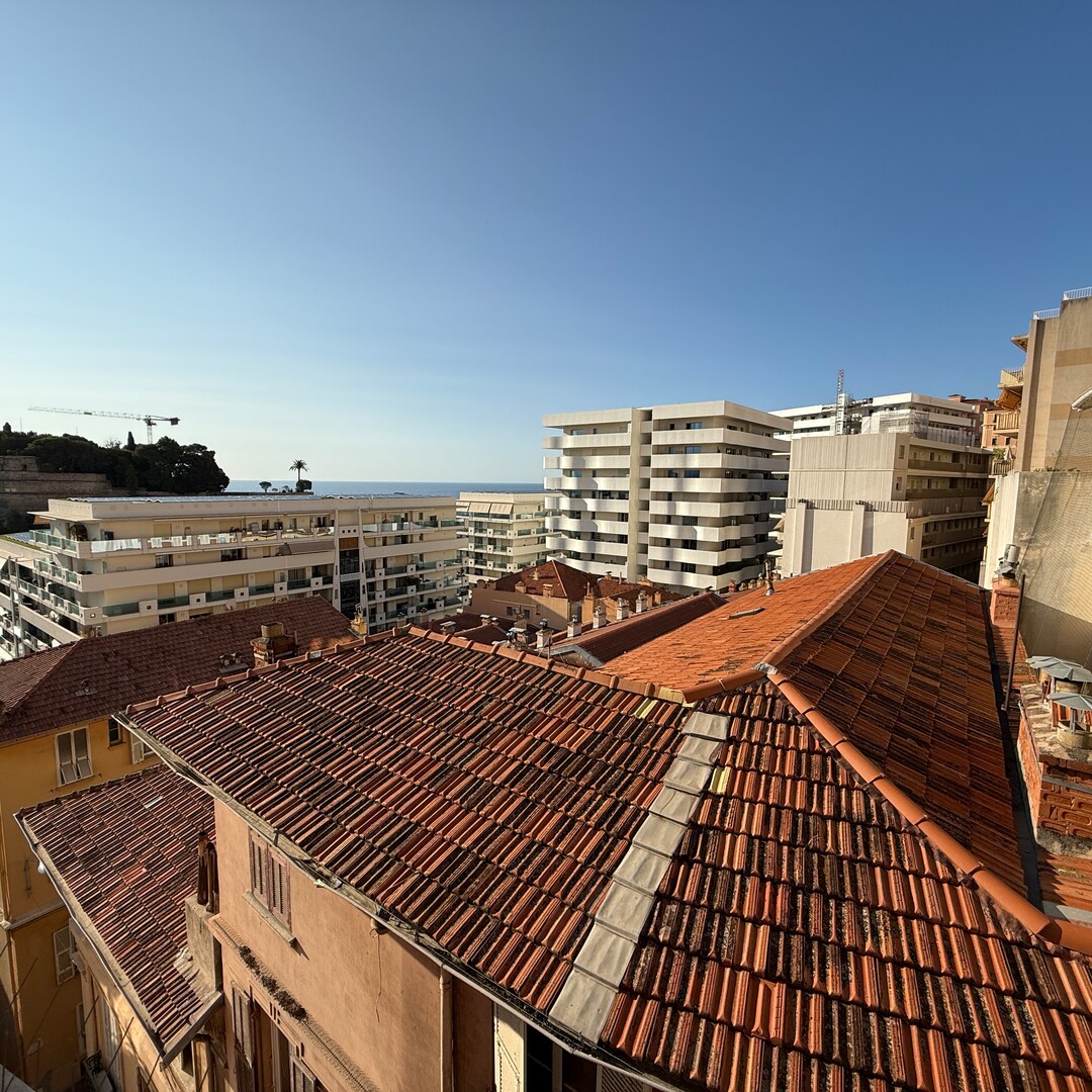 Monolocale ampio e luminoso in una zona tranquilla - Appartamenti da affittare a MonteCarlo
