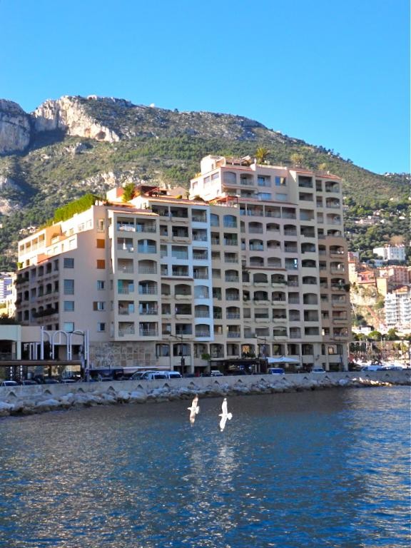 Eden Star - Quai Jean Charles Rey - Appartamenti da affittare a MonteCarlo