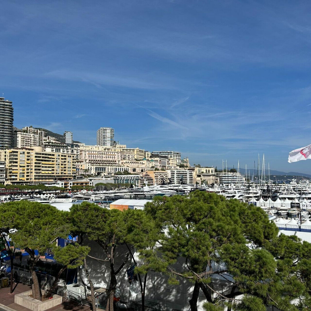 PALAZZO DI ERACLE - Appartamenti da affittare a MonteCarlo