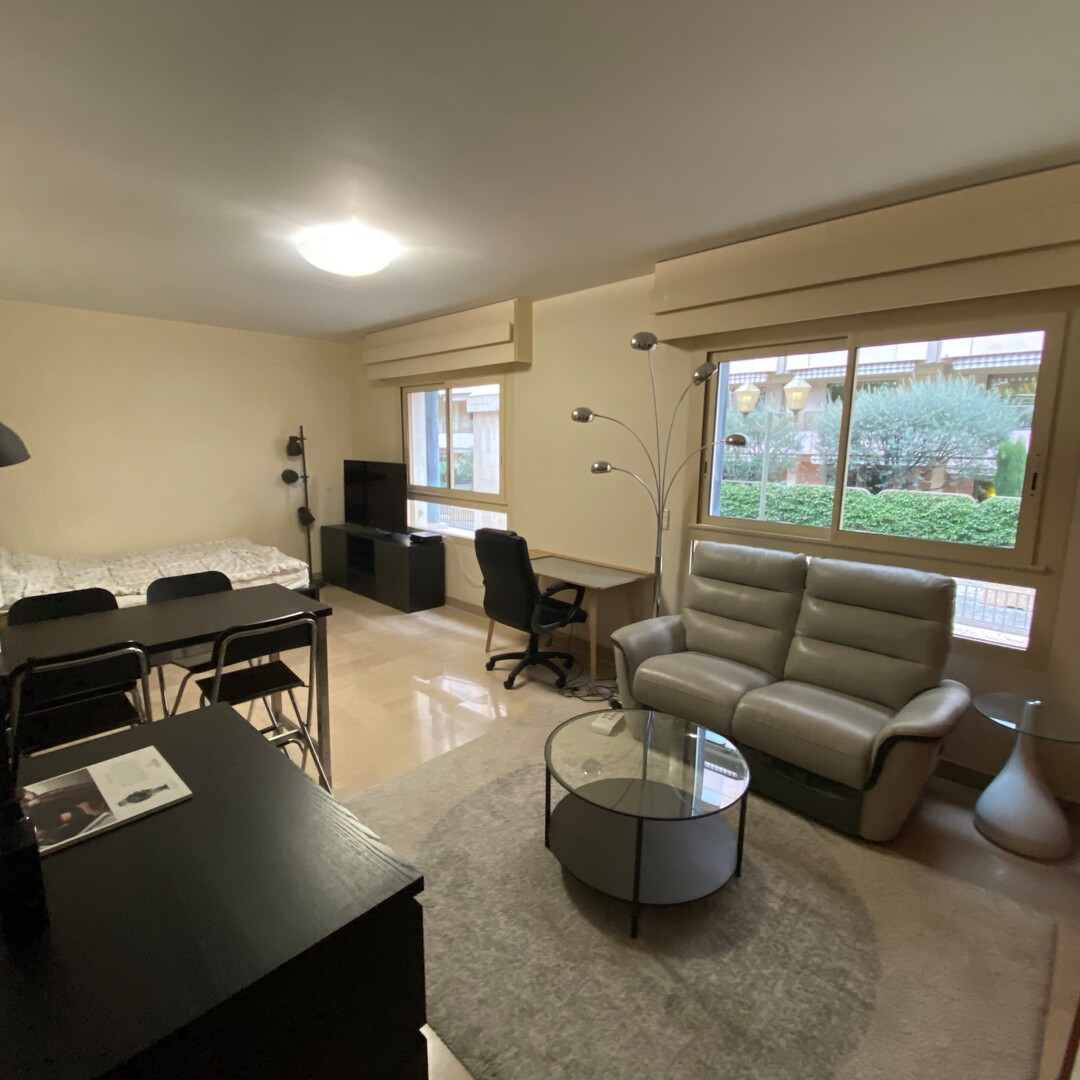 AGREABLE STUDIO / IMMEUBLE LE ROCAZUR - Appartamenti da affittare a MonteCarlo