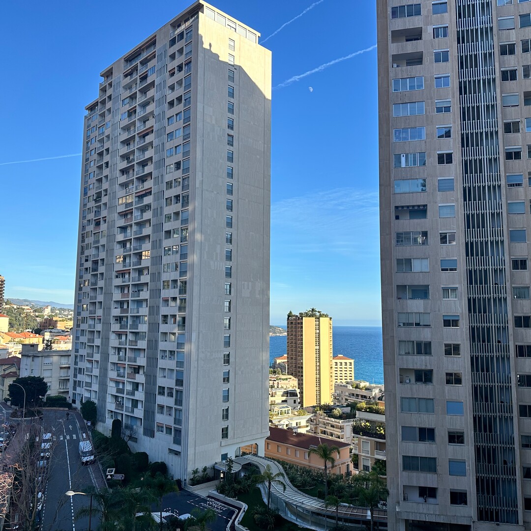 RÉSIDENCE AUTEUIL - BILOCALI - Appartamenti da affittare a MonteCarlo