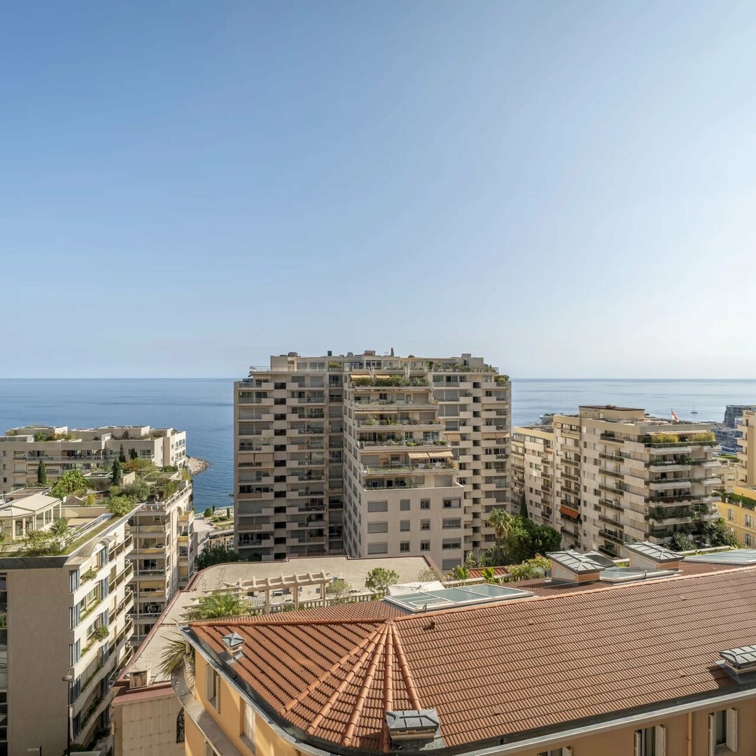 La Rousse - Château Périgord II - 1 bedroom - Appartamenti da affittare a MonteCarlo
