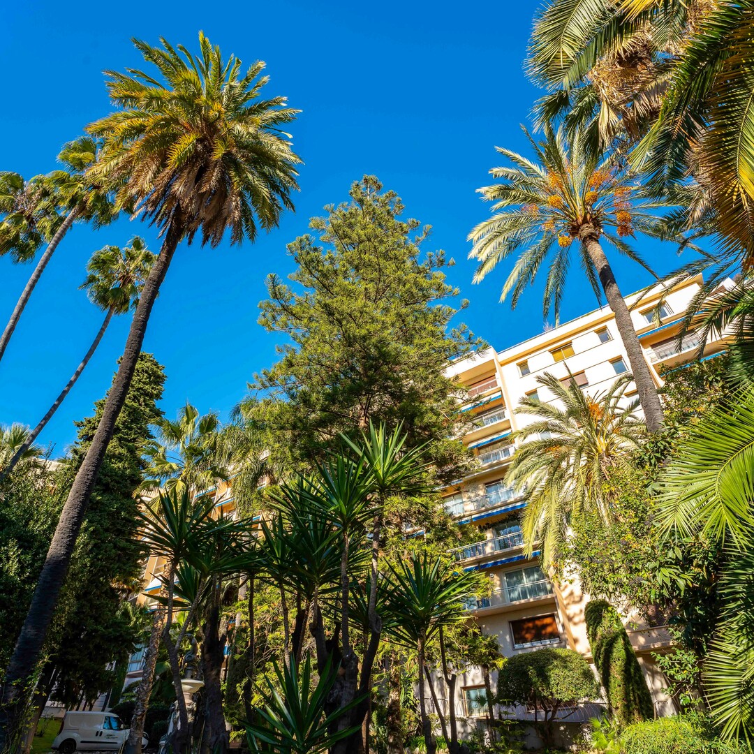 CENTRO - LE ROQUEVILLE - 2 STANZE - Appartamenti da affittare a MonteCarlo