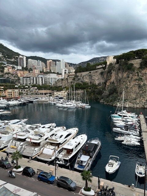 FONTVIEILLE - AMPIO E GRADEVOLE BILOCALE - Appartamenti da affittare a MonteCarlo