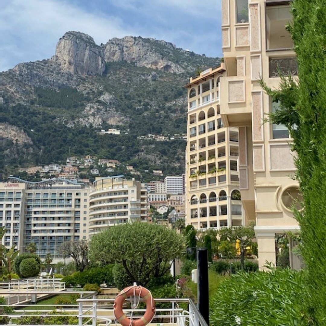SPAZIOSO BILOCALE - FONTVIEILLE - Appartamenti da affittare a MonteCarlo