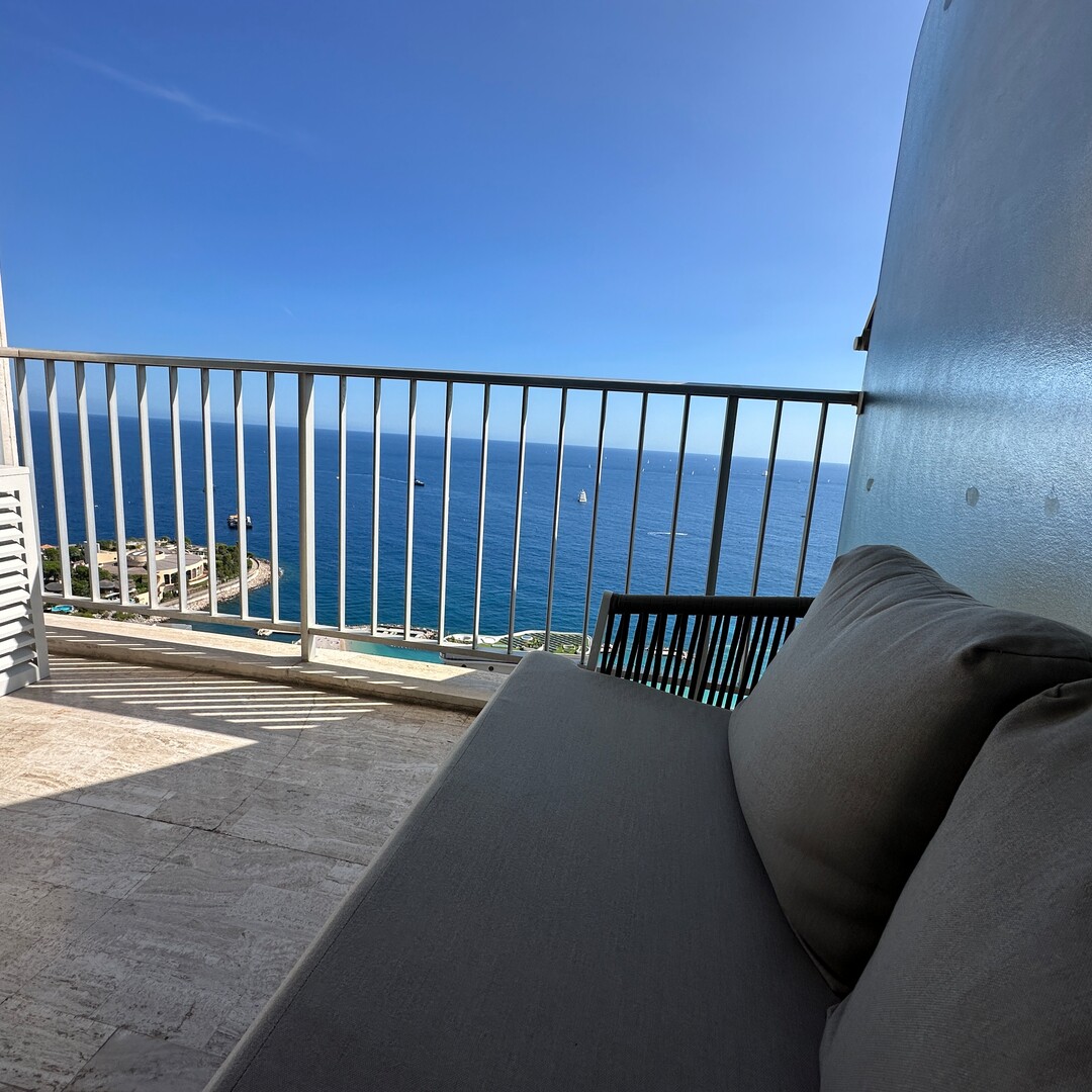 AMPIO MONOLOCALE MODERNO, ARIA CONDIZIONATA, PISCINA - Appartamenti da affittare a MonteCarlo