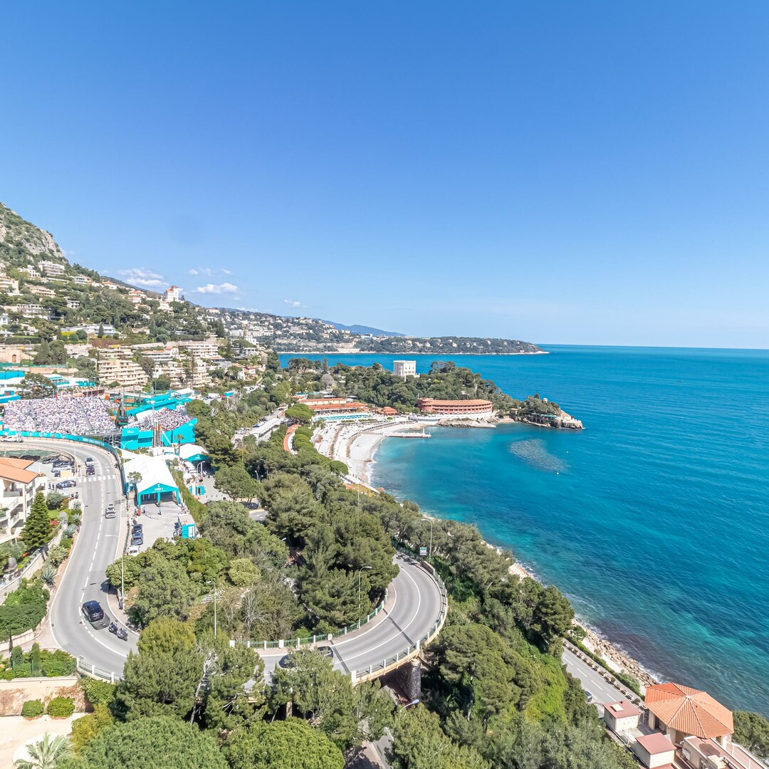 Vista eccezionale sul mare e il Cap Martin - Appartamenti da affittare a MonteCarlo