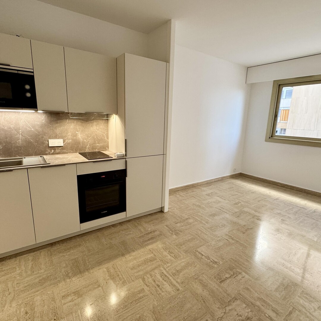 Monolocale ristrutturato - Appartamenti da affittare a MonteCarlo