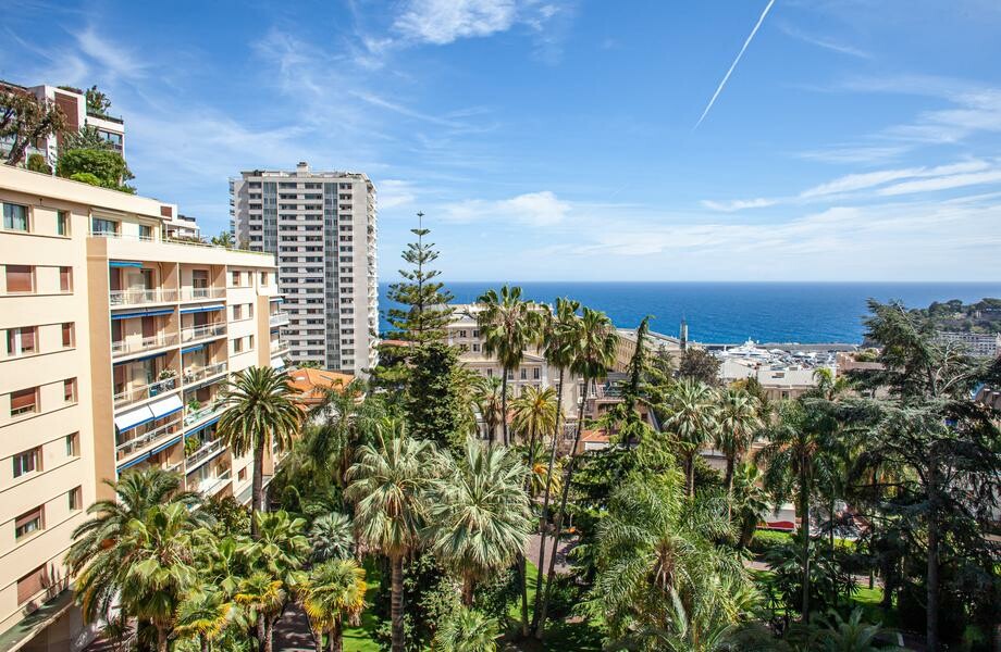 Monte-Carlo 2 roomed apartment - Appartamenti da affittare a MonteCarlo