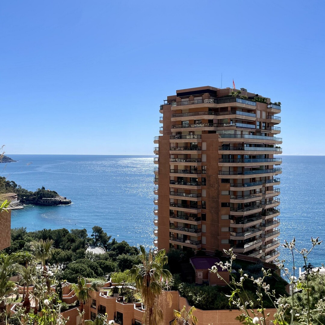 Renovated 2-bedroom apartment - Appartamenti da affittare a MonteCarlo