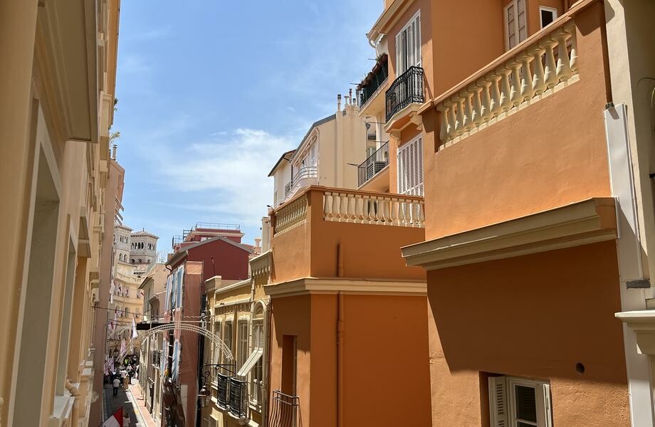 Nice 3 roomed apartment on the Rocher - Appartamenti da affittare a MonteCarlo