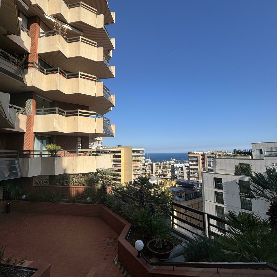 APPARTMENT 4 ROOMS WITH SEA VIEWS AND PRINCE PALACE VIEWS - Appartamenti da affittare a MonteCarlo
