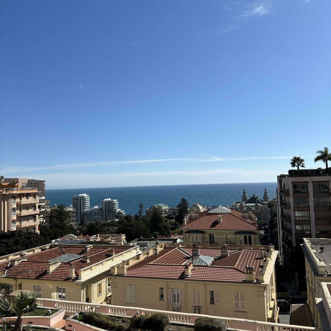 Beautiful apartment in the heart of the Golden Square - Appartamenti da affittare a MonteCarlo