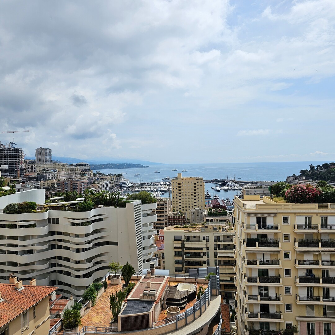 MERAVIGLIOSO APPARTAMENTO PER FAMIGLIE - Appartamenti da affittare a MonteCarlo