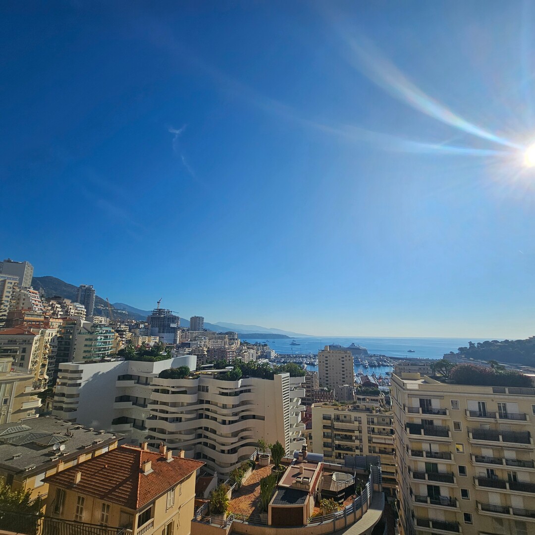 Bellissimo appartamento Condamine - Appartamenti da affittare a MonteCarlo