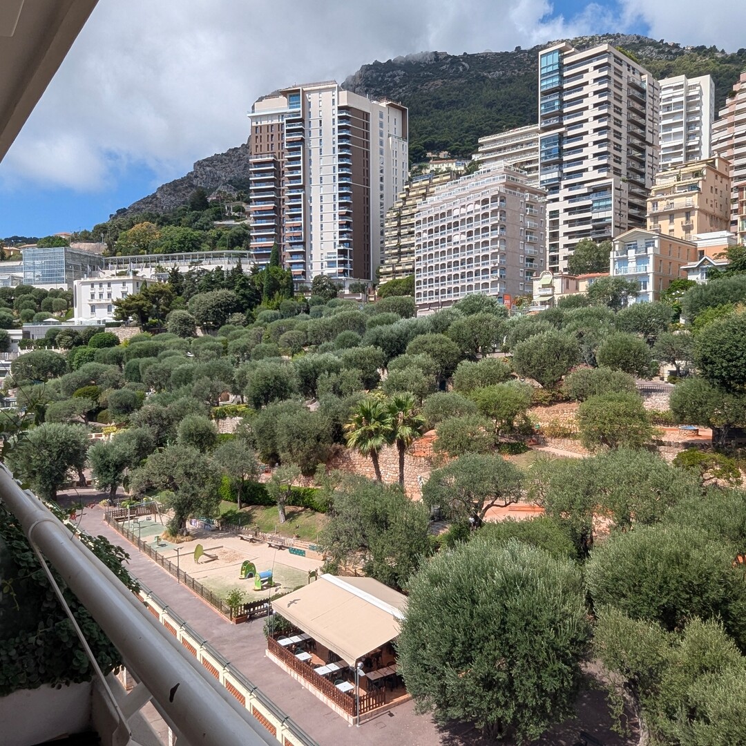 magnifico studio con alcova ristrutturato - Appartamenti da affittare a MonteCarlo