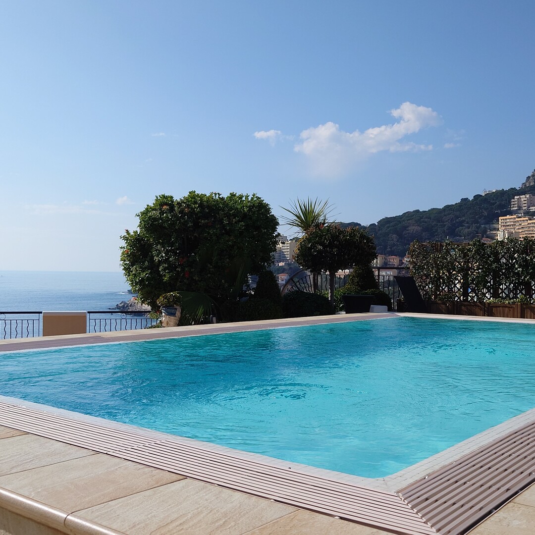 ROOFTOP CON PISCINA - Appartamenti da affittare a MonteCarlo