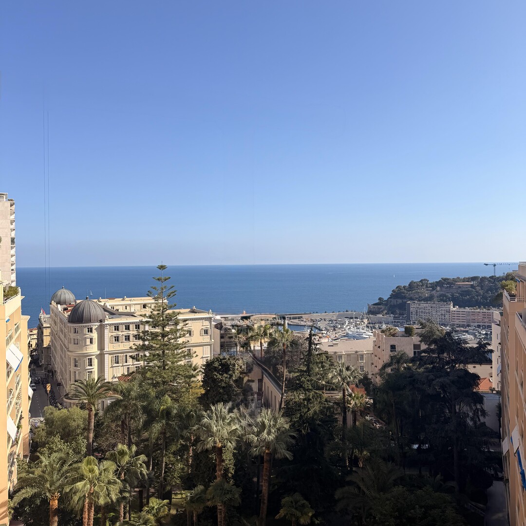 APPARTAMENTO DI 3 STANZE RISTRUTTURATO CON VISTA MARE - Appartamenti da affittare a MonteCarlo