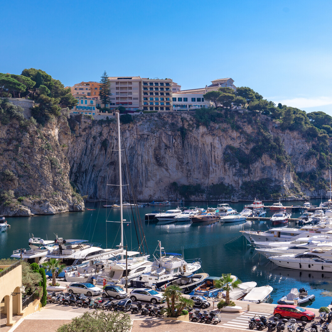 BILOCALE CON VISTA SUL PORTO DI FONTVIEILLE - RESIDENCE ‟LE BOTTICELLI‟ - Appartamenti da affittare a MonteCarlo