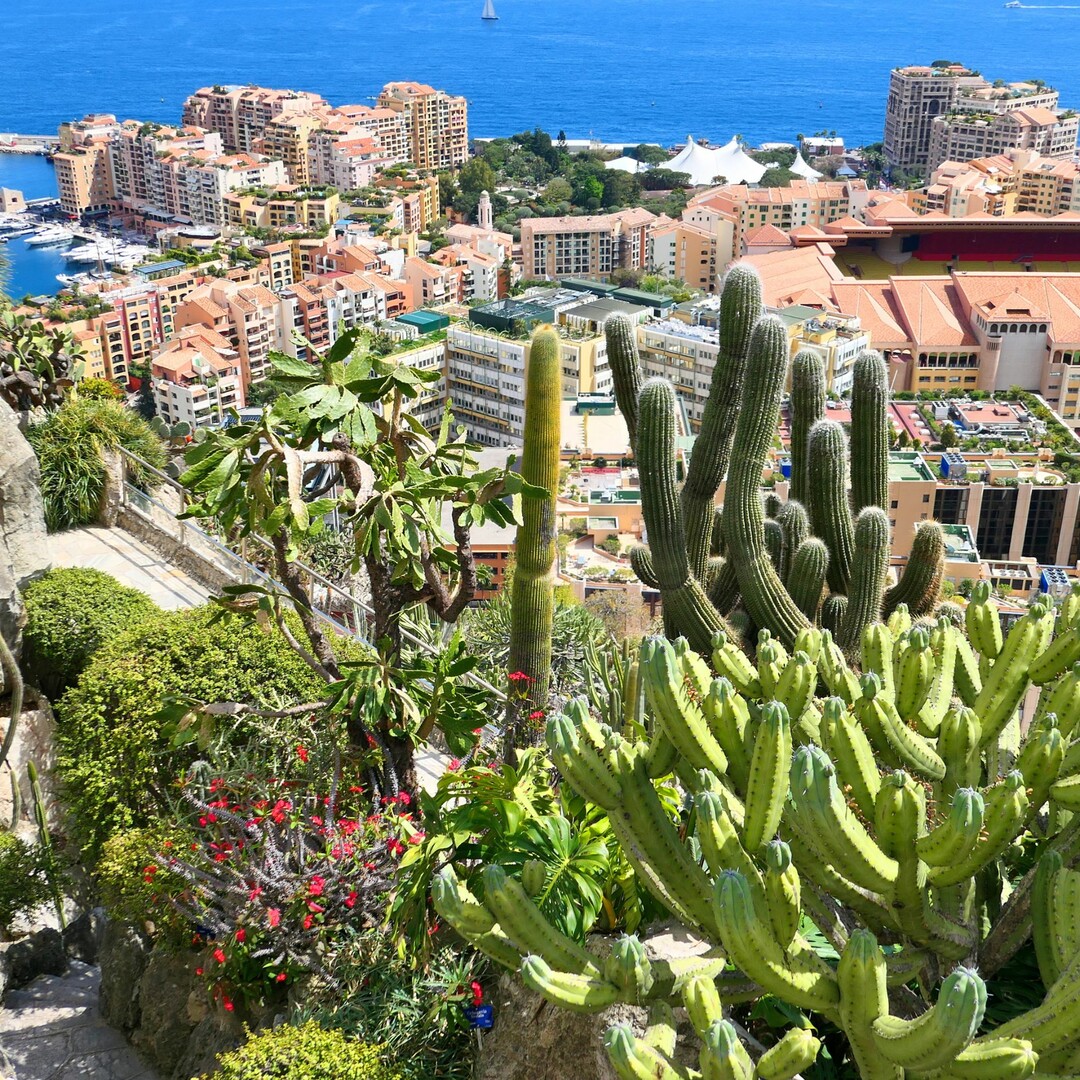 GIARDINO ESOTICO - BELLISSIMO UFFICIO - Appartamenti da affittare a MonteCarlo