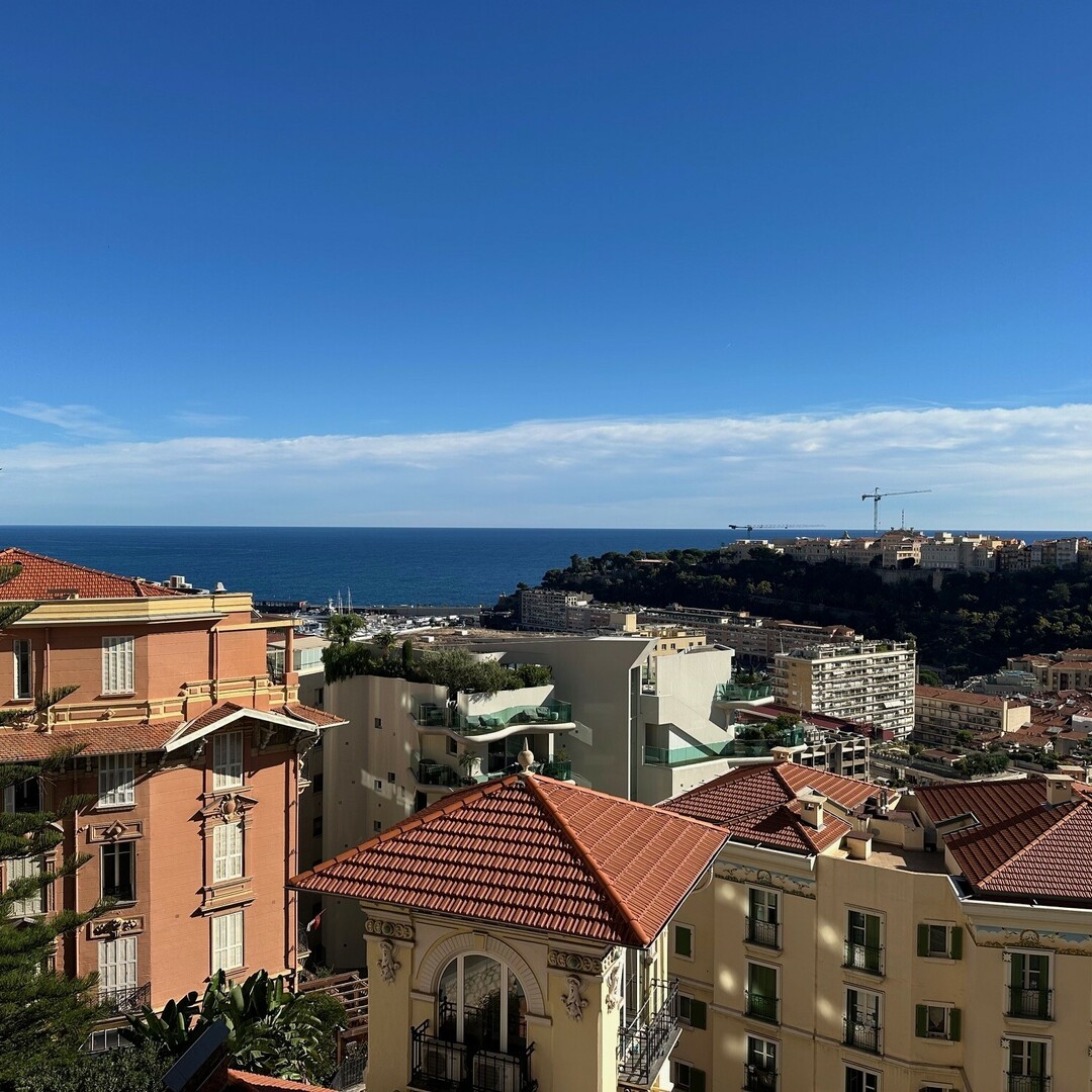 PALAIS BOSIO: BOURGEOIS - VISTA PANORAMICA - RISTRUTTURATO