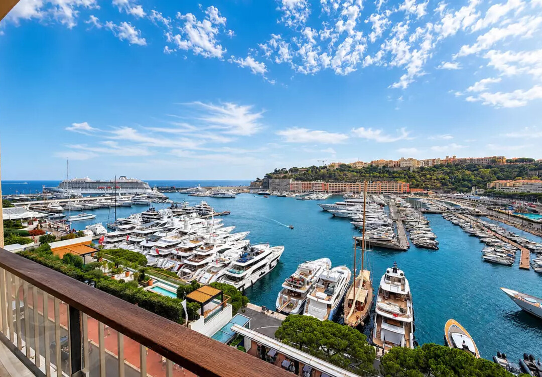 MAGNIFICO APPARTAMENTO PORT HERCULE