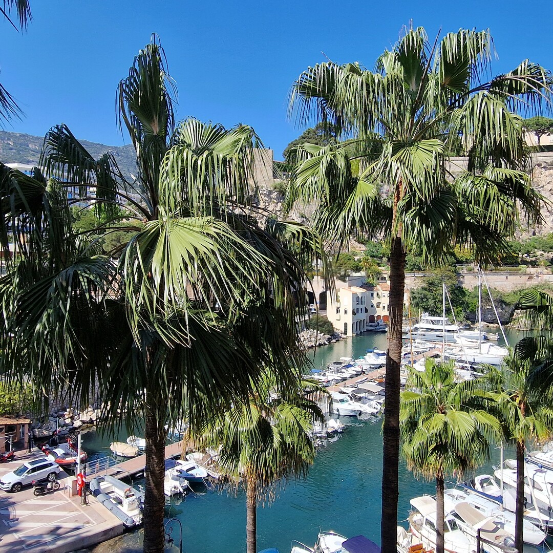 APPARTAMENTO VACANZE STUDIO FONTVIEILLE