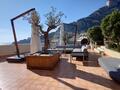 Superbo eccezionale appartamento sul tetto con piscina privata - Appartamenti da affittare a MonteCarlo