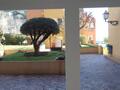 FONTVIEILLE / TIZIANO / UFFICI / LOCALI COMMERCIALI - Appartamenti da affittare a MonteCarlo