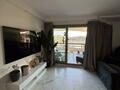 APPARTMENT 4 ROOMS WITH SEA VIEWS AND PRINCE PALACE VIEWS - Appartamenti da affittare a MonteCarlo