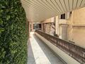 APPARTMENT 4 ROOMS WITH SEA VIEWS AND PRINCE PALACE VIEWS - Appartamenti da affittare a MonteCarlo