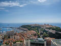 MAGNIFICA VISTA PANORAMICA - Appartamenti da affittare a MonteCarlo