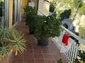 MONACO GRAND PRIX F1 - Terasse - Appartamenti da affittare a MonteCarlo