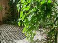 Studio ristrutturato con giardino privato -  Uso misto - Appartamenti da affittare a MonteCarlo