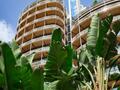 LUSSUOSO DUPLEX CENTRALE - Appartamenti da affittare a MonteCarlo