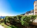 PIACEVOLE 2 PEZZI - Appartamenti da affittare a MonteCarlo