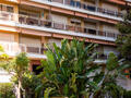 3 CAMERE RINNOVATE VISTA MARE - Appartamenti da affittare a MonteCarlo